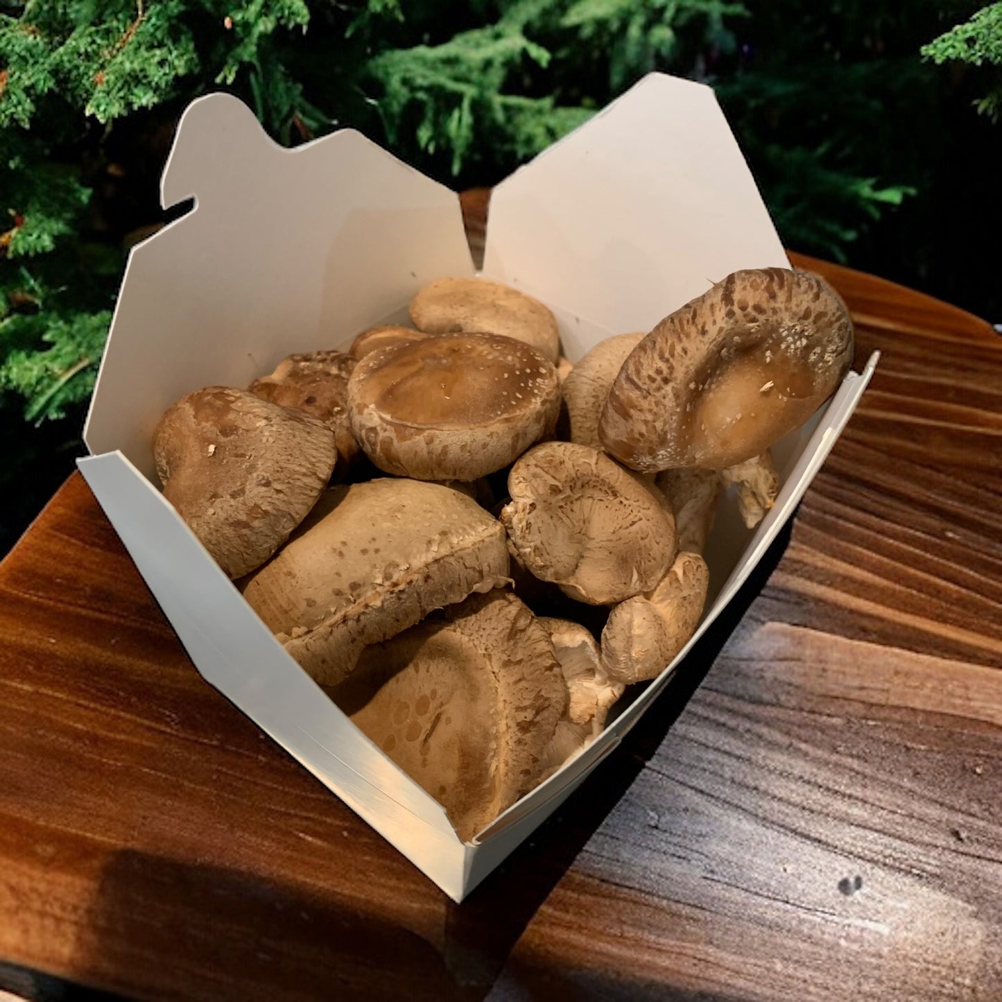 Shiitake Mushrooms (Half Pound) Pick Up Only