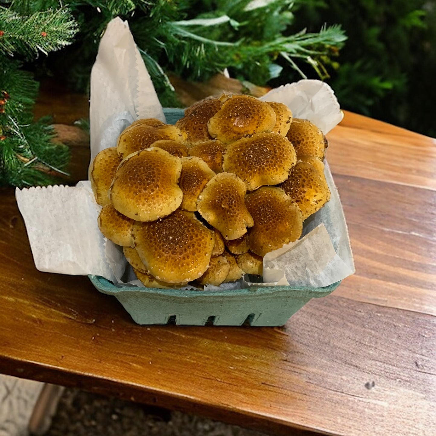 Chestnut Mushrooms (One Pound) Pick Up Only