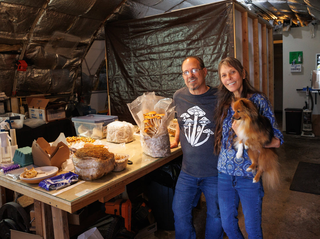 Photo by Kevin Painchaud / Lookout Santa Cruz  Instagram @painchaudkevin