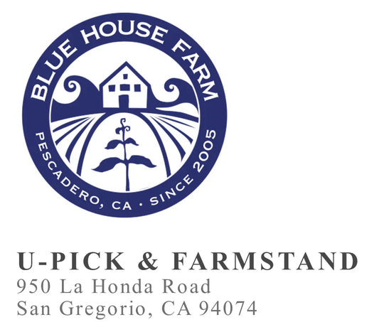 Santa Cruz Mushrooms now available at Blue House Farm