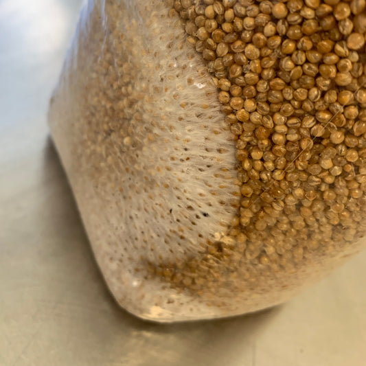 Grain Spawn - 3 pound Bag