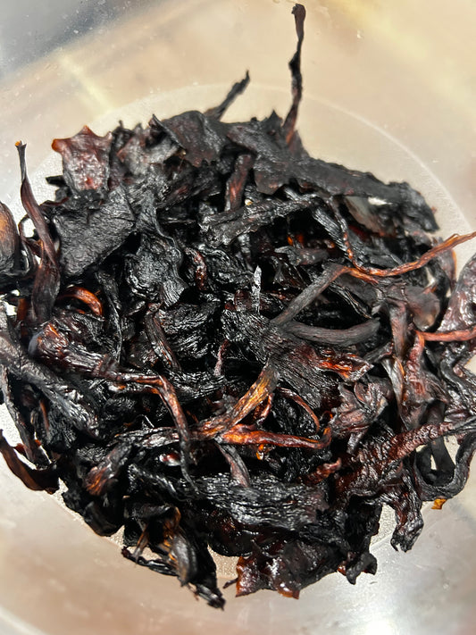 Tiffany's Mushroom Jerky