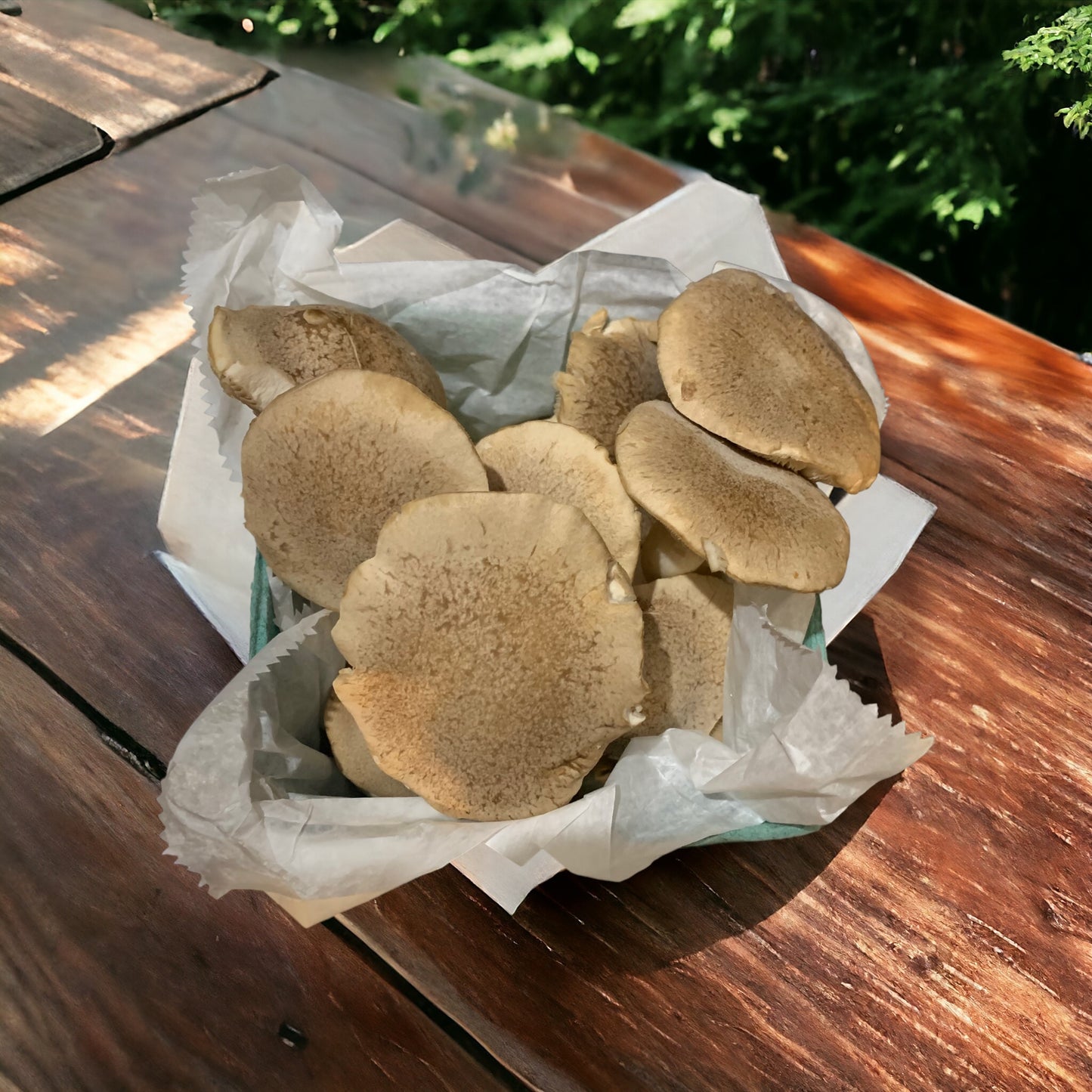 King Trumpet Mushrooms (Half Pound) Pick Up Only