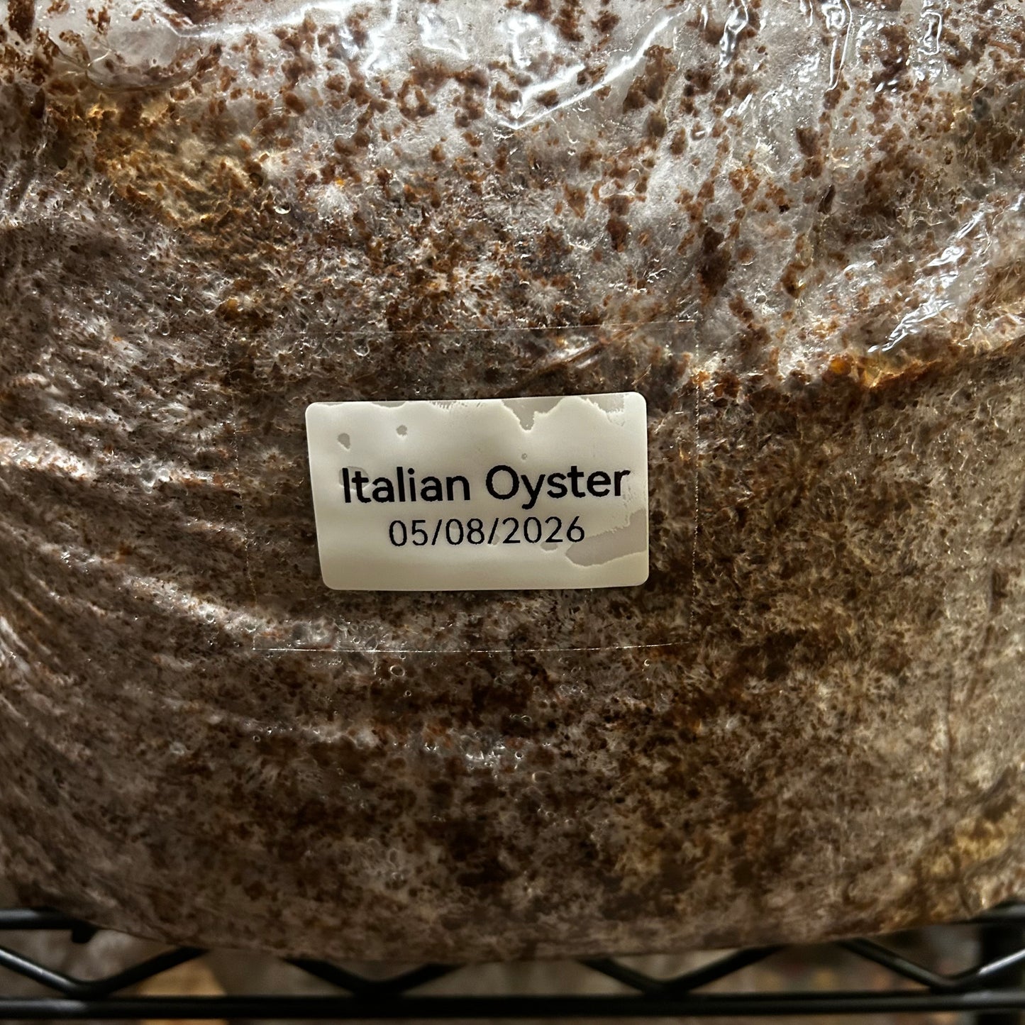 Mushroom Grow Block - Extra Large Ten Pound Size