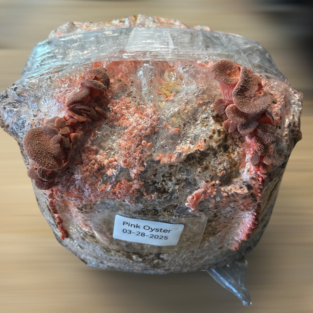 Official site image from Santa Cruz Mushrooms showing listed products or brand materials.